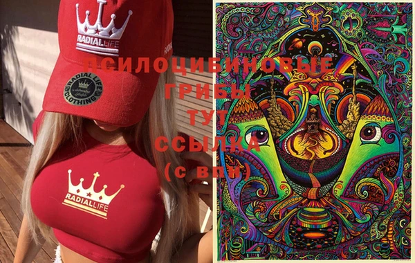 меф Новокубанск