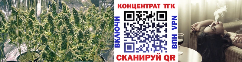 ТГК вейп с тгк  Купить закладки  Хасавюрт 