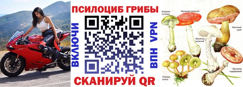 Псилоцибиновые грибы Magic Shrooms  Купить закладки  Хасавюрт 